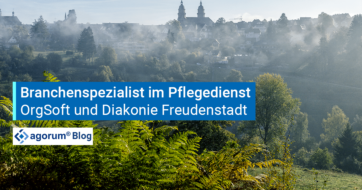 Digitale Patientenakte: ein Referenzbericht über die Diakoniestation Freudenstadt