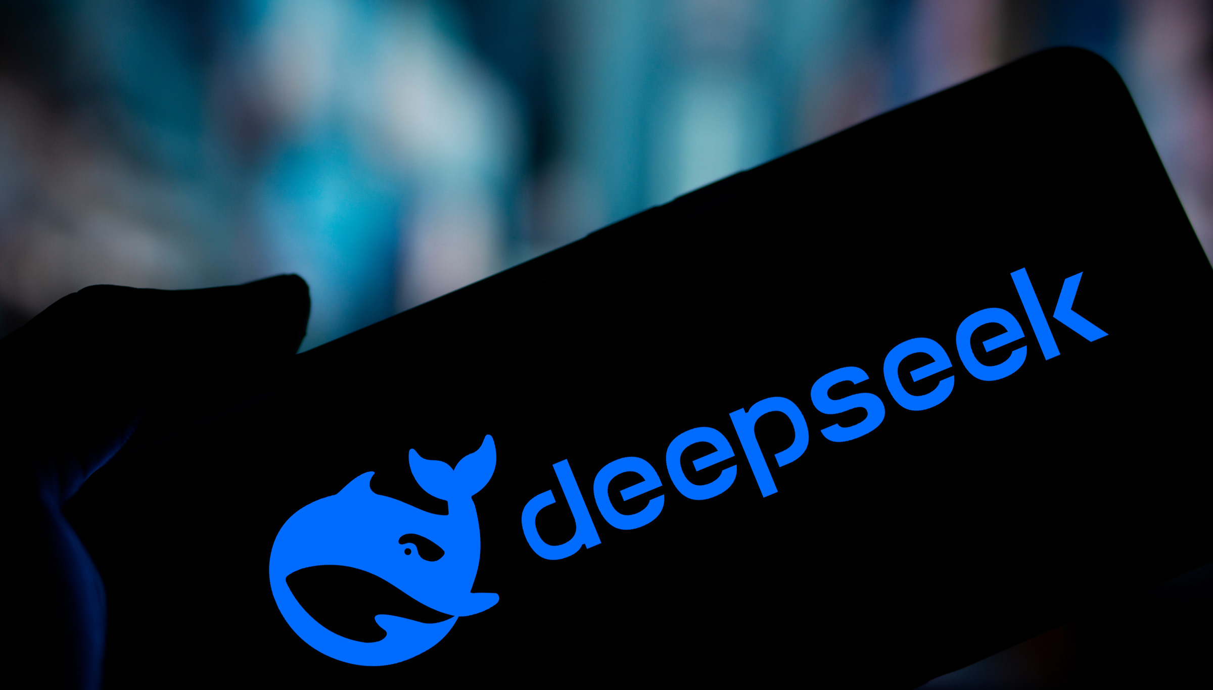 deepseek im DMS getestet