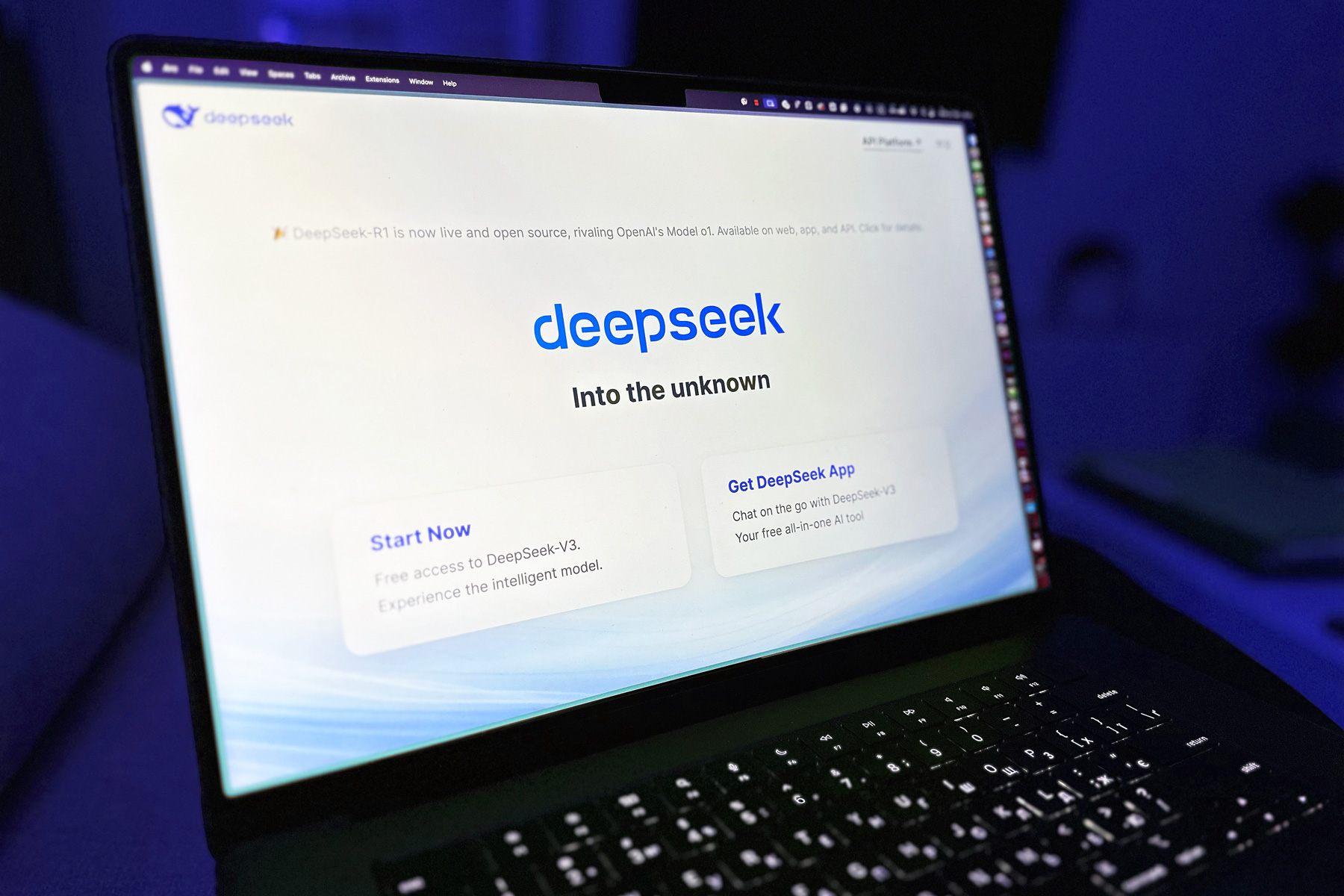 DeepSeek Oberfläche